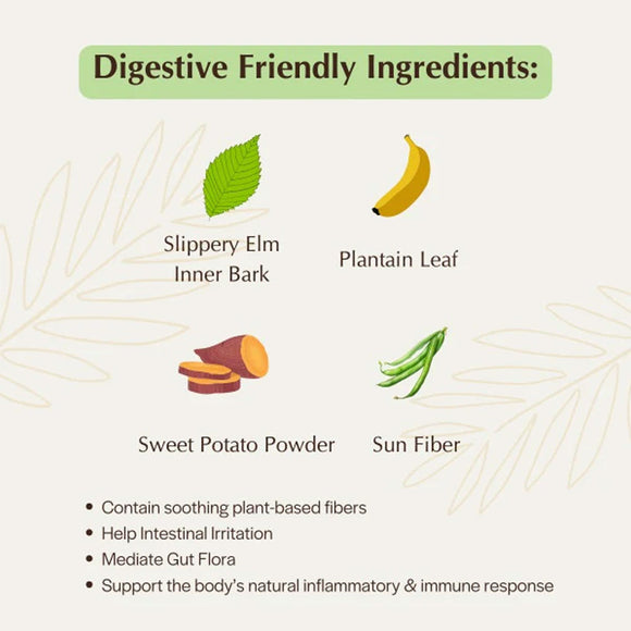 List of digestive friendly ingredients with corresponding images and text on a light background.