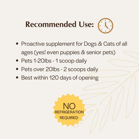 Supplement usage instructions for dogs and cats on a beige background with decorative elements.