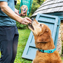 Petthrive Soft Chews with Resveratrol Advance Joint Care for Dogs