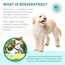 Petthrive Soft Chews with Resveratrol Advance Joint Care for Dogs