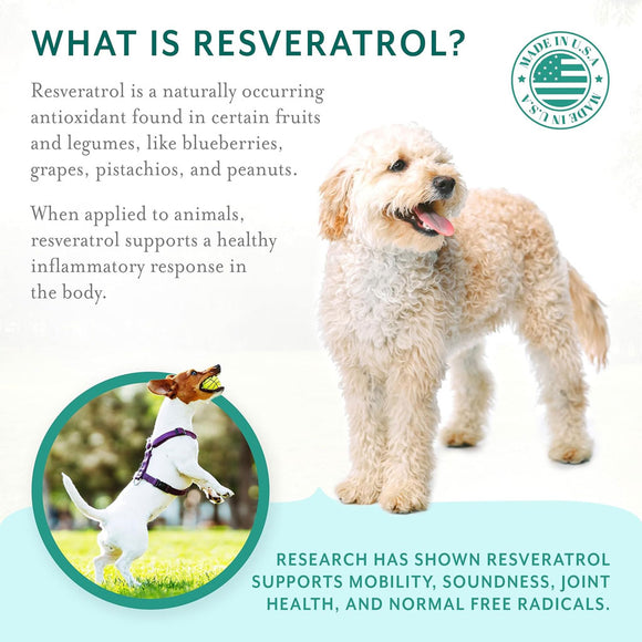 Petthrive Soft Chews with Resveratrol Advance Joint Care for Dogs