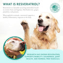 Petthrive Soft Chews with Resveratrol Advance Joint Care for Dogs