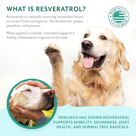 Petthrive Soft Chews with Resveratrol Advance Joint Care for Dogs