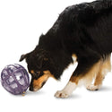 Petsafe Busy Buddy Dog Toy Kibble Nibble Treat Dispenser Dog Toy