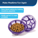 Petsafe Busy Buddy Dog Toy Kibble Nibble Treat Dispenser Dog Toy