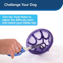 Petsafe Busy Buddy Dog Toy Kibble Nibble Treat Dispenser Dog Toy