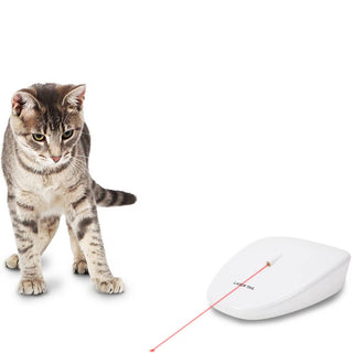 PetSafe Laser Tail Laser Cat Toy