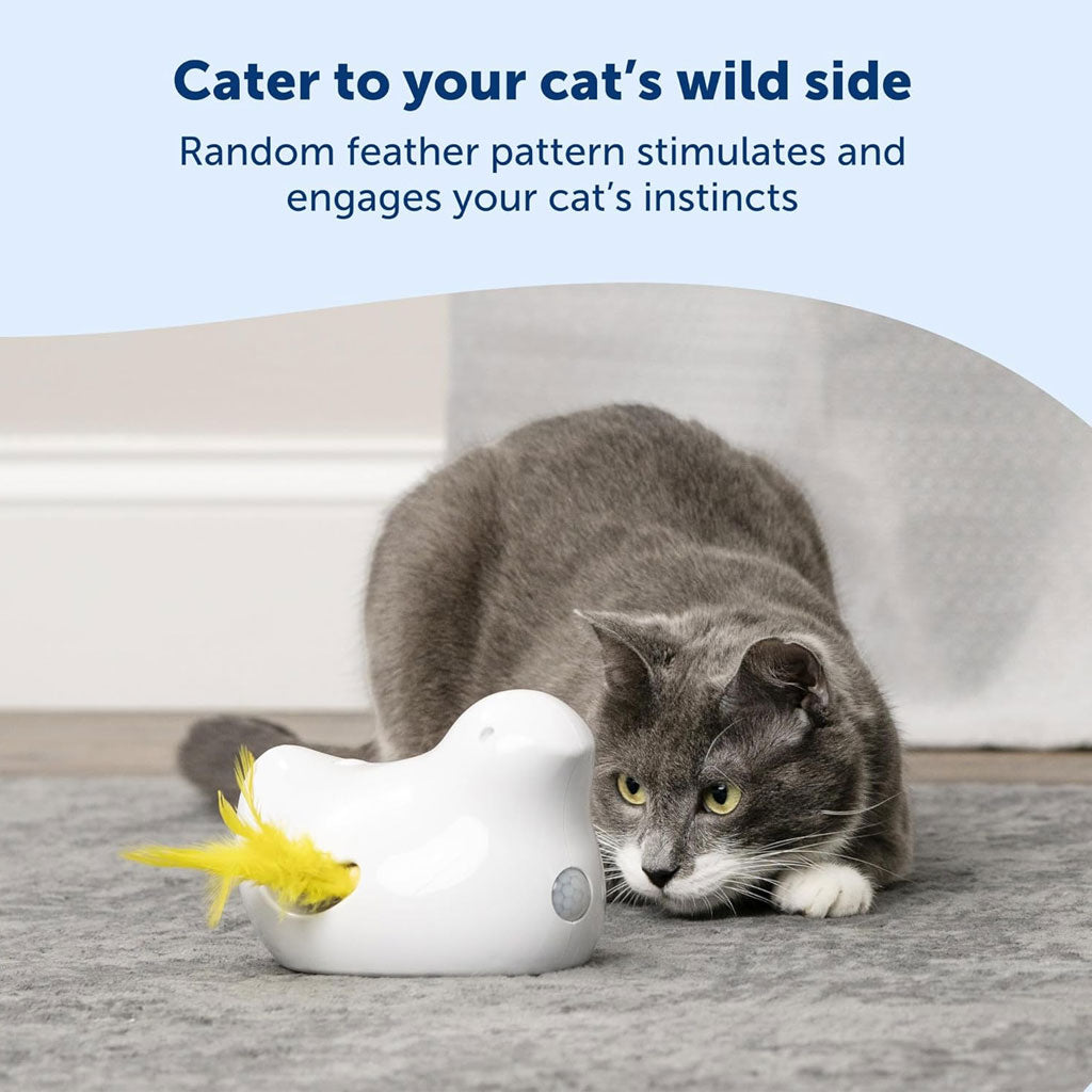 PetSafe Peek-A-Bird Automatic Cat Toy