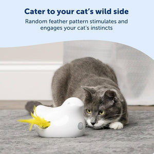 PetSafe Peek-A-Bird Automatic Cat Toy