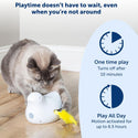 PetSafe Peek-A-Bird Automatic Cat Toy