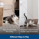 PetSafe Dancing Dot Laser Cat Toy