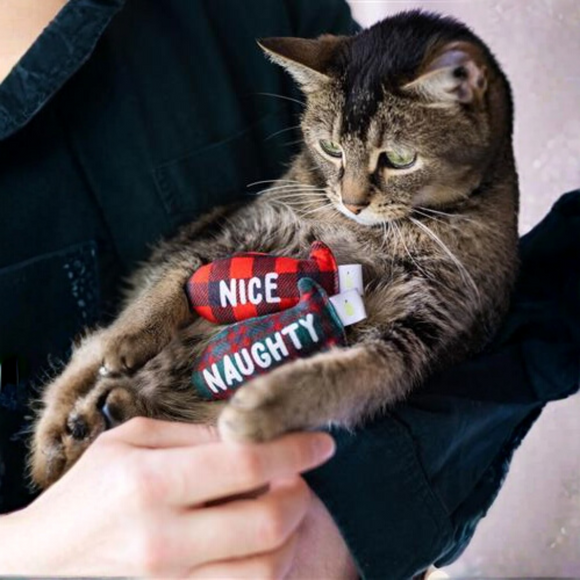 Pearhead Naughty Or Nice Holiday Themed Cat Toy Set with Catnip