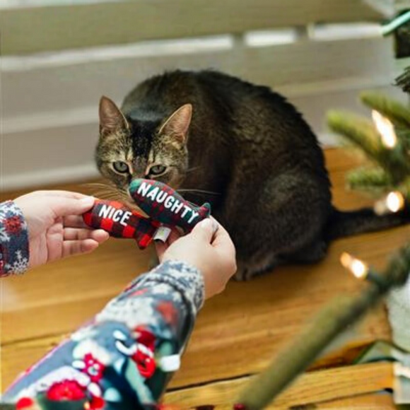 Pearhead Naughty Or Nice Holiday Themed Cat Toy Set with Catnip