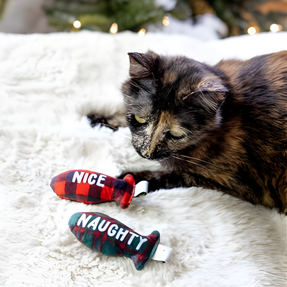 Pearhead Naughty Or Nice Holiday Themed Cat Toy Set with Catnip