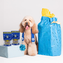 Lord Jameson Hanukkah Gelt Organic Dog Treats with Wild Blueberry & Coconut (6oz)-6