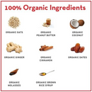 Lord Jameson Gingerbread Organic Soft & Chewy Dog Treats (6 Oz)-4