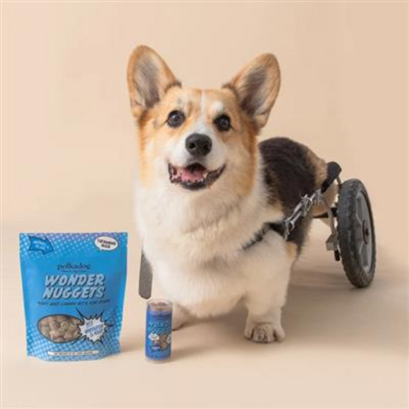 Polkadog Wonder Nuggets White Fish & Kelp Training Treats Mini Tube (2.5 oz)