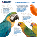 bird need toys
