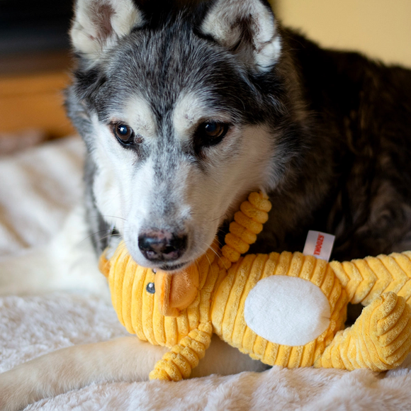 ThoozyPet Tuff & Cuddly Duck Plush Dog Toy, 12.5"