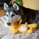 ThoozyPet Tuff & Cuddly Duck Plush Dog Toy, 12.5"-8