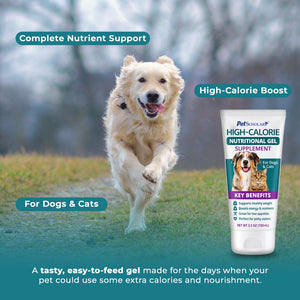 Pet Scholars High-Calorie Nutritional Gel Supplement For Dogs & Cats (3.5 oz) - 0