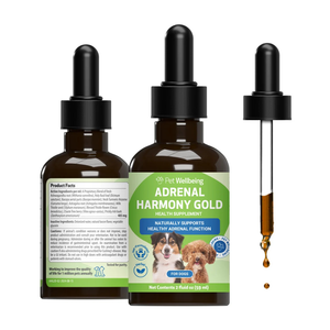 Adrenal Harmony Gold for Cushing's Disease in Dogs