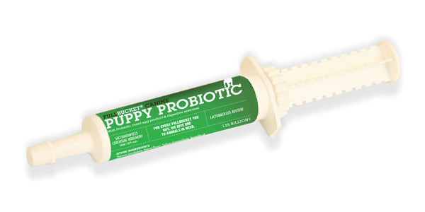 Fullbucket Puppy Probiotic Paste (10 tubes)