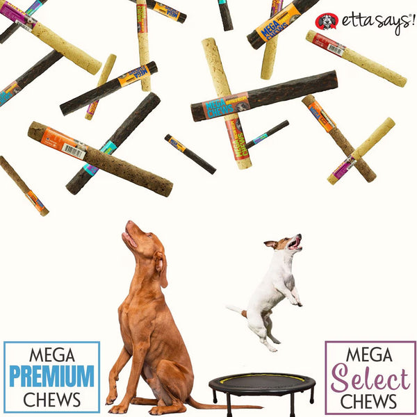 Etta Says! Premium Crunchy MEGA Chews Dog Treats