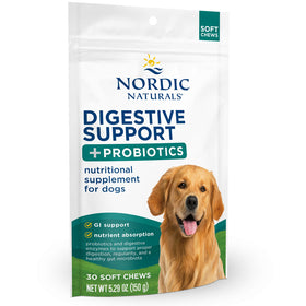 Nordic Naturals digestive support and probiotics supplement for dogs on a white background
