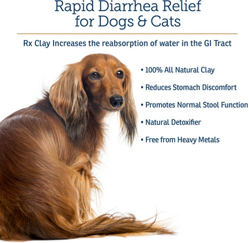 Rx Vitamins Rx Clay Powder Digestive Supplement for Dogs & Cats (100g) - 0