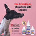 zymox ear cleanser vet recommend