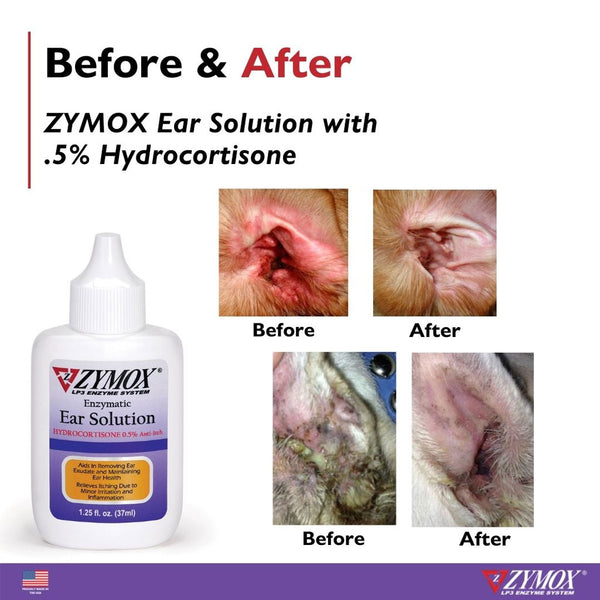 Zymox ear solution Hydrocortisone before and after