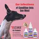 Zymox ear solution Hydrocortisone vet recommend