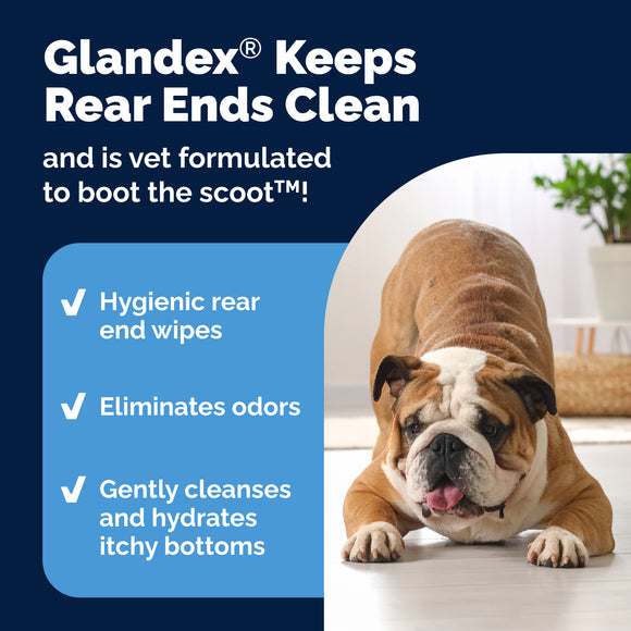 Glandex Anal Rear End Gland Hygienic Pet Wipes for Cats and Dogs