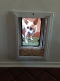 SB Standard Wall Mount Pet Dog Door