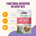 Health Extension SuperBites Freeze-Dried Raw Salmon Recipe Cat Treats