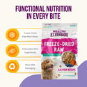 Health Extension Freeze-Dried Raw Mixer-Topper-Treat Salmon Recipe for Dogs