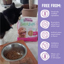 Health Extension Freeze-Dried Raw Mixer-Topper-Treat Salmon Recipe for Dogs