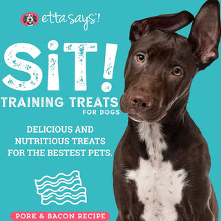 Etta Says! Sit! Training Treats for Dogs Bacon Flavor