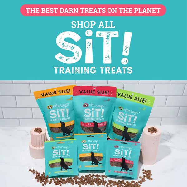 Etta Says! Sit! Training Treats for Dogs Bacon Flavor