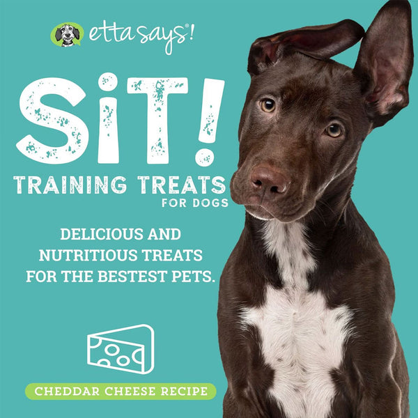 Etta Says! Sit! Training Treats for Dogs Cheese Flavor,