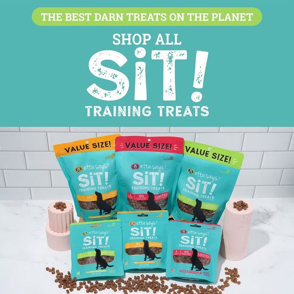 Etta Says! Sit! Training Treats for Dogs Cheese Flavor,