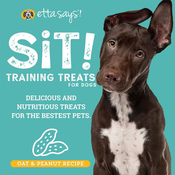 Etta Says! Sit! Training Treats for Dogs Peanut Butter Flavor