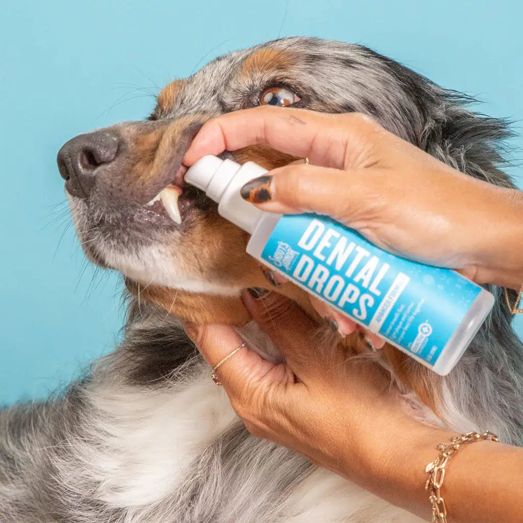 Dental Fresh Advanced Plaque & Tartar Water Additive