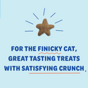 Shameless Pets Catnip Is My Boo Crunchy Treats For Cats (4 oz)