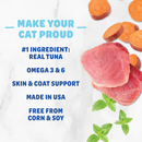 Shameless Pets Catnip Is My Boo Crunchy Treats For Cats (4 oz)-2