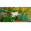 Reptile enclosure with a green triangle perch and two lizards.