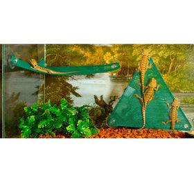 Reptile enclosure with a green triangle perch and two lizards.