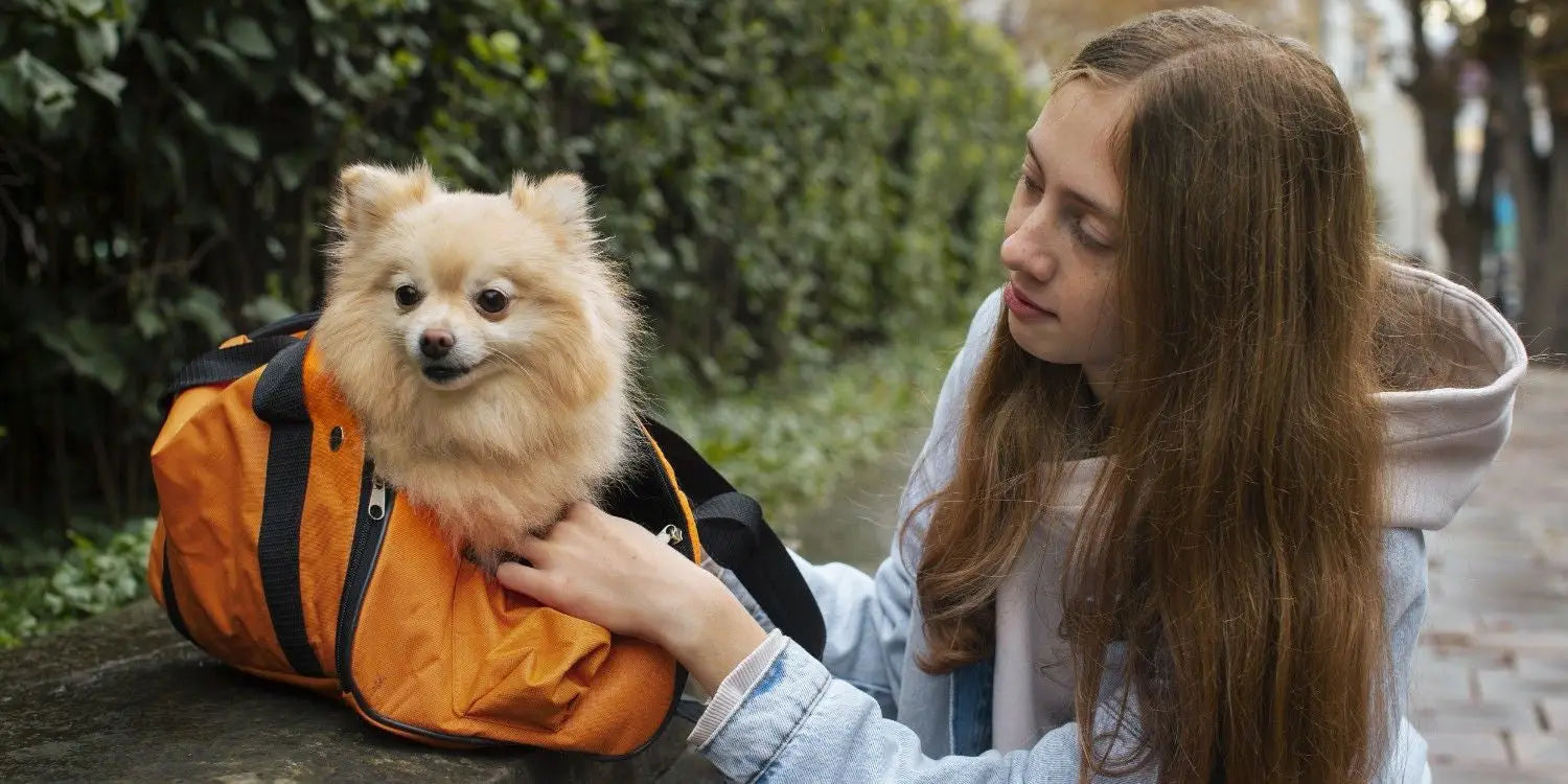 Safety, Side Effects & Vet Guidance