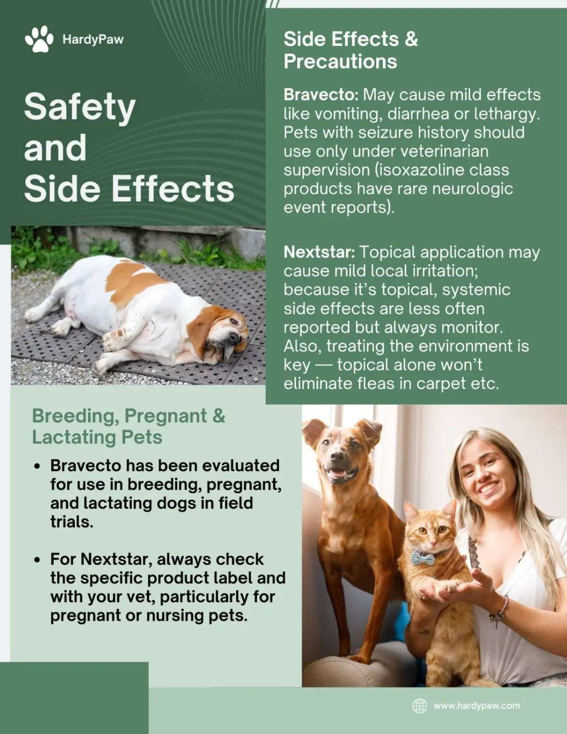 Bravecto vs NextStar: Which Flea & Tick Treatment Is Right for Your Pet?